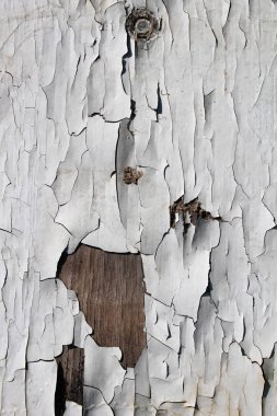 Eski ahşap duvar boya ile kaplı