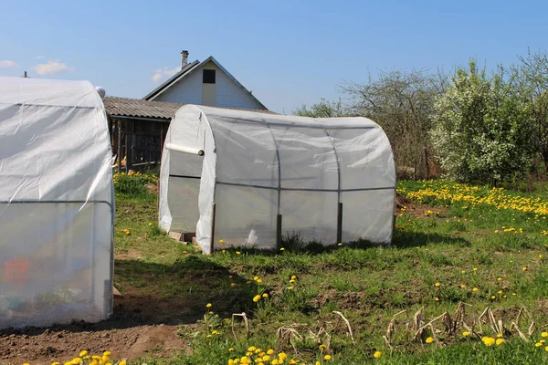 Invernaderos Plástico Para Cultivo Hortalizas Campo — Foto de Stock