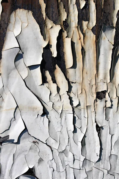 Old Wooden Wall Covered Paint — Stock Photo, Image