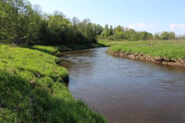 Büyük nehir ve orman kıyısında