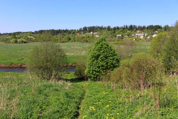 Villaggio Grande Campo Foresta — Foto Stock