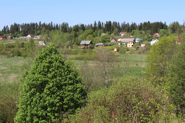 Dorf Großem Feld Und Wald — Stockfoto