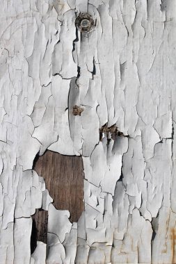 Eski ahşap duvar boya ile kaplı