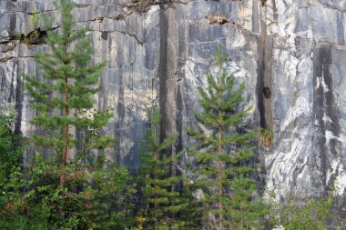 Bir çam ormanı içinde büyük mermer duvarlar