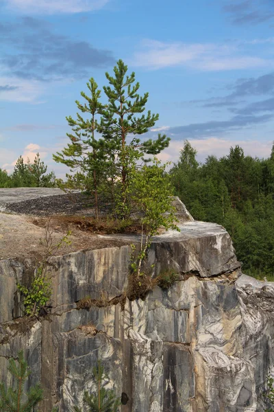 Grandes Paredes Mármol Bosque Pinos — Foto de Stock