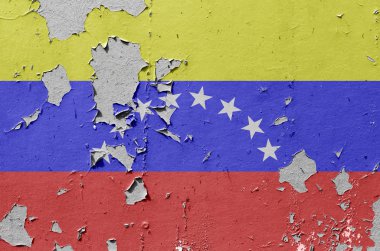 Venezuela bayrakları tuğla duvar zemin üzerine boyalı