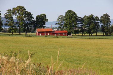Antik Avrupa köy mimarisi
