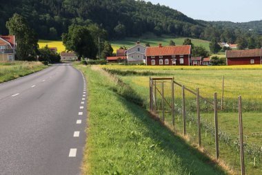 Kırsal orman üzerinde yol işaretleme