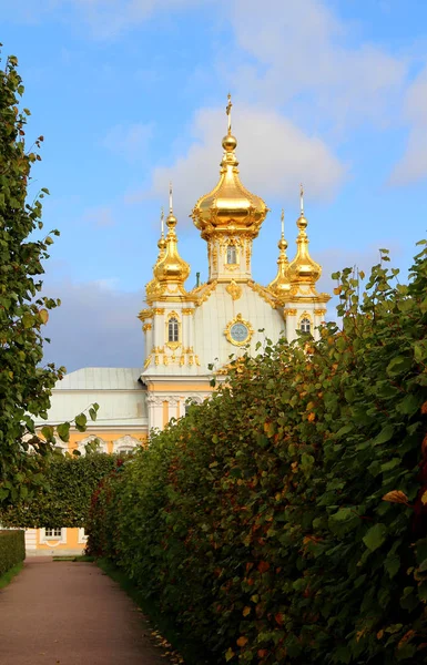 Здание Старой Церкви Золотым Куполом Фоне Голубого Неба — стоковое фото