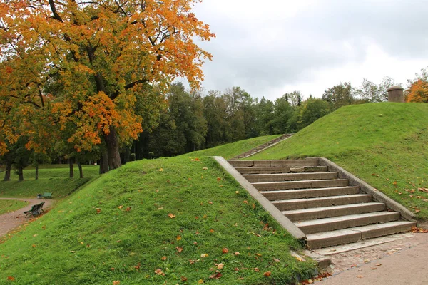 Grandes Árboles Parque Otoño — Foto de Stock