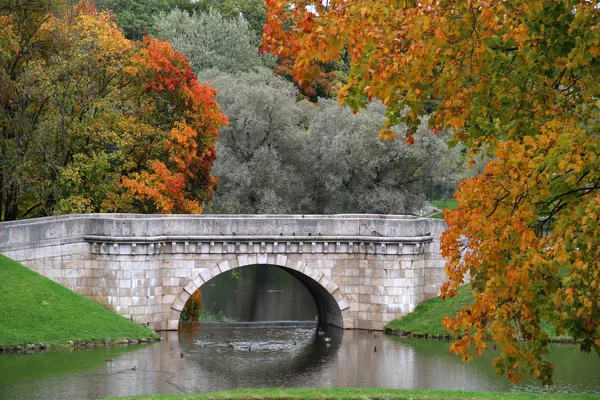 Ponte Pedra Velha Parque Velho — Fotografia de Stock