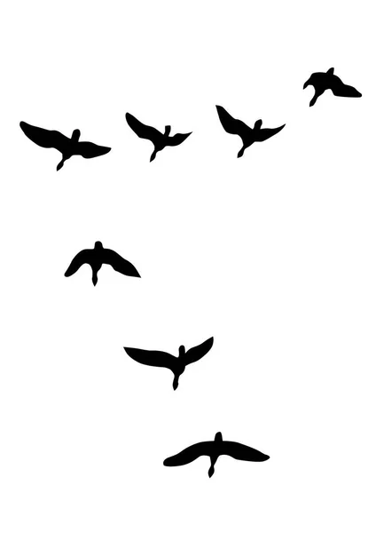 白い背景の上の空に鴨の飛行 — ストックベクタ