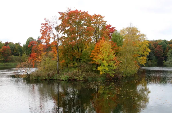 秋天公园里的大树 — 图库照片