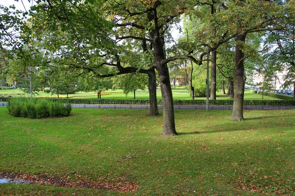 Big Trees Park Autumn — Stock Photo, Image