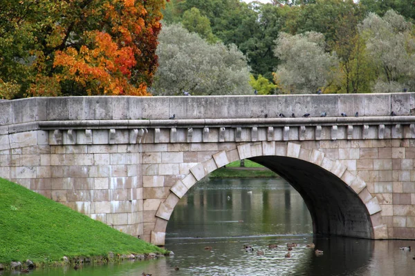 Ponte Pedra Velha Parque Velho — Fotografia de Stock