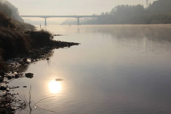 Ágak Fák Folyó Partján Sunrise — Stock Fotó