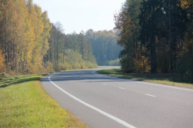 Ağaçları ile yeşillik ülke yolda düşer.