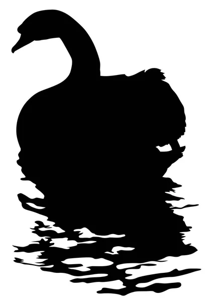 水面上的大白天鹅 — 图库矢量图片