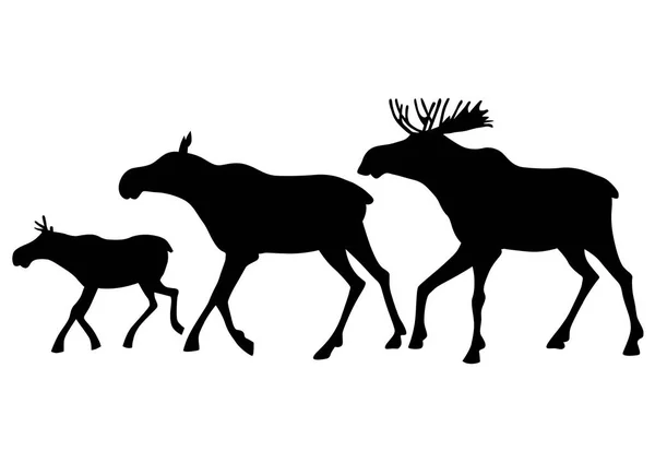 Vad Elk Család Egy Fehér Háttér — Stock Vector