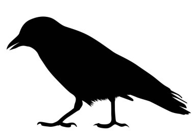 Beyaz arka plan üzerinde büyük siyah kale