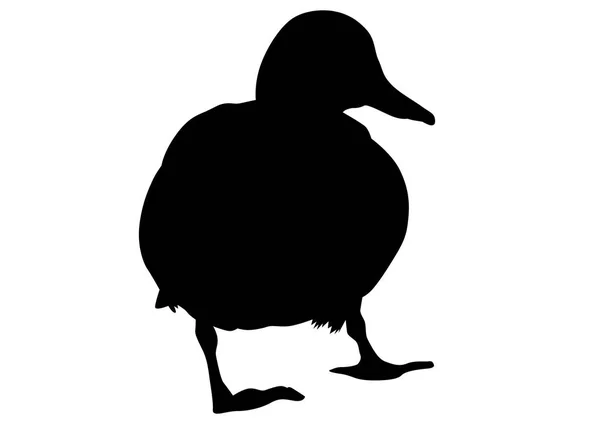 Wild Ducks Flock White Background — Stock Vector