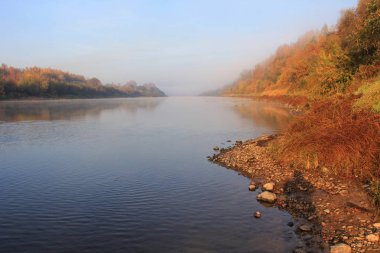Kır parkı ve nehir üzerinde sonbahar yaprakları ile Ağaçlar