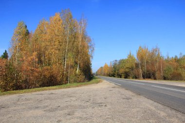 Kır parkı ve yolda sonbahar yaprakları olan ağaçlar