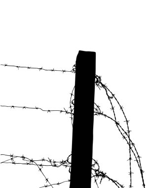 Sınır bölgesinde dikenli tel çelik çit