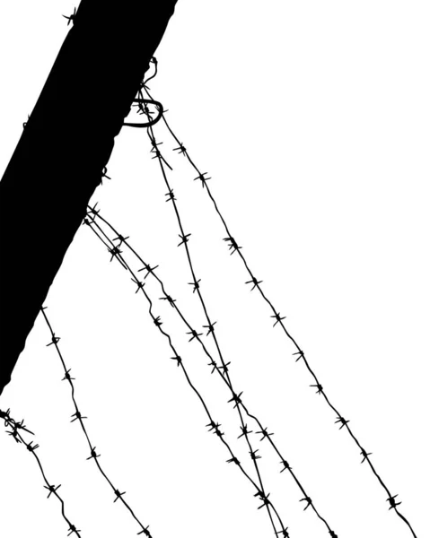 Taggtråd Stål Staket Gränszonen — Stock vektor