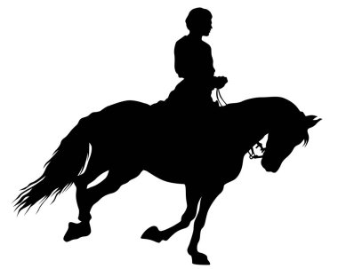 Süvari beyaz bir arka plan üzerinde bir at sürmek