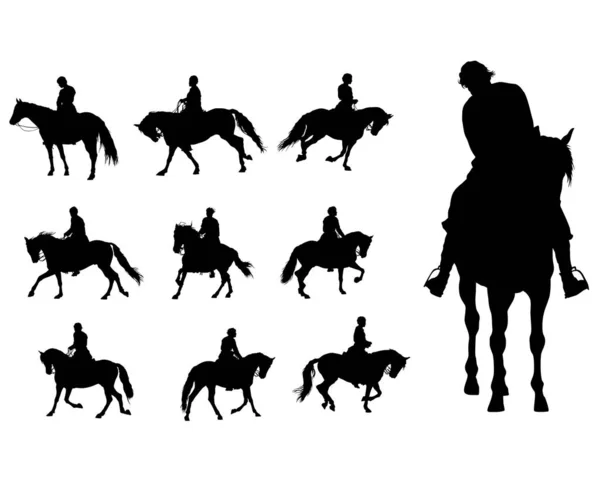 Cavalier Monte Cheval Sur Fond Blanc — Image vectorielle