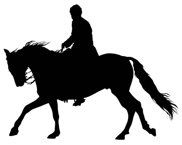 Jinete Monta Caballo Sobre Fondo Blanco — Vector de stock