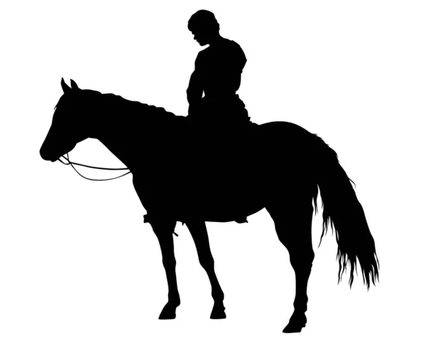 Horseman Rides Horse White Background — Stock Vector