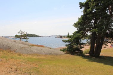 Kuzey Denizi'ndeki taş kayalar ve ağaçlar