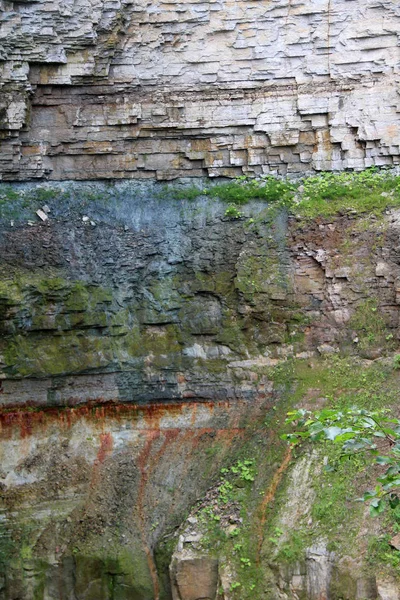 Alto Muro Piedra Cañón Árboles Forestales — Foto de Stock