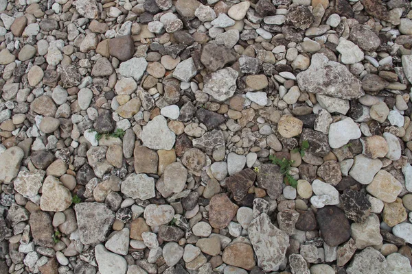 Texture of stones on seashore. Natural background