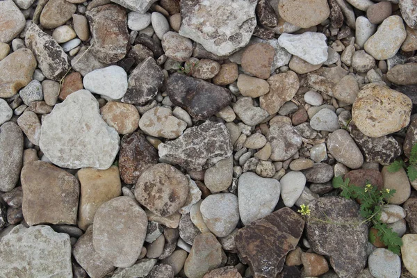 Texture of stones on seashore. Natural background