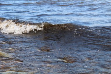 Deniz ve taş plaj büyük dalgalar