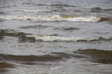 Büyük dalgalar deniz ve kumsal