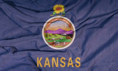 Amerikan devletinin bayrağı rüzgarda dalgalanıyor. Kumaşın renkli arkaplanı