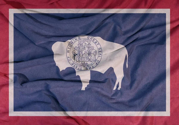 Bandera Del Estado Americano Ondea Viento Fondo Color Sobre Tela —  Fotos de Stock