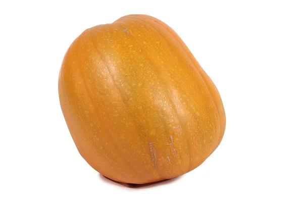 Grande Zucca Sfondo Bianco Oggetto Isolato — Foto Stock