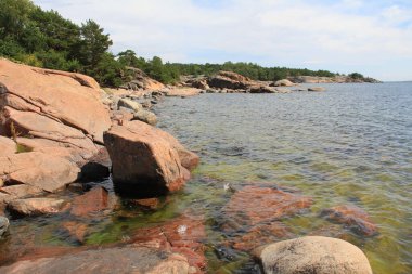 Kuzey sahilindeki kayalıklarda çam ağaçları