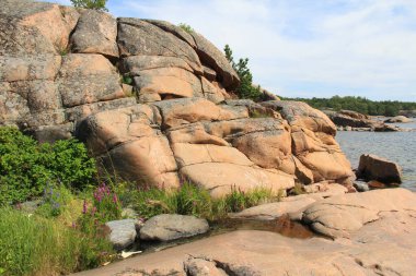 Kuzey sahilindeki kayalıklarda çam ağaçları