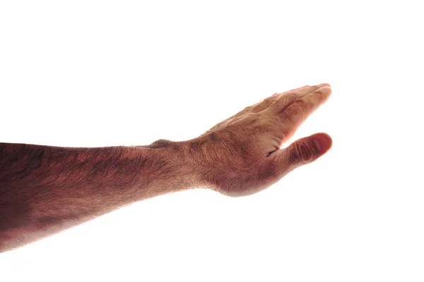 Περικοπεί Shot Αρσενική Χέρι Δείχνει Παλάμη Που Απομονώνονται Λευκό — Φωτογραφία Αρχείου