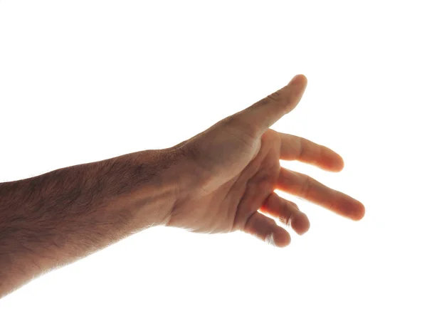 Bijgesneden Schot Van Mannenhand Toont Palm Geïsoleerd Wit — Stockfoto