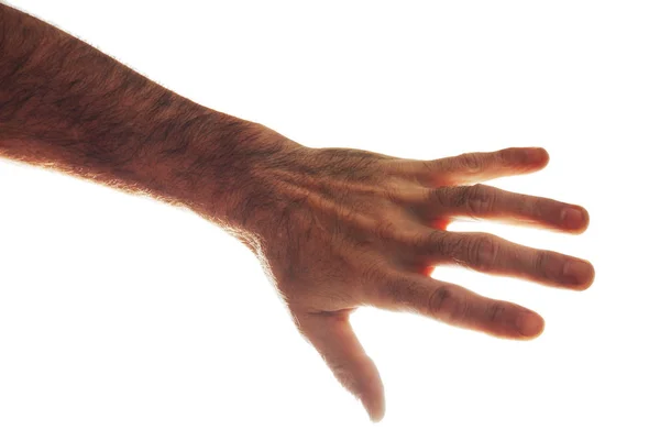 Mužské ruka ukazuje otevřené dlaně. Izolované na bílém — Stock fotografie