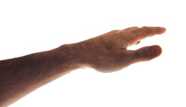 beyaz izole erkek el eller in kırpılmış atış