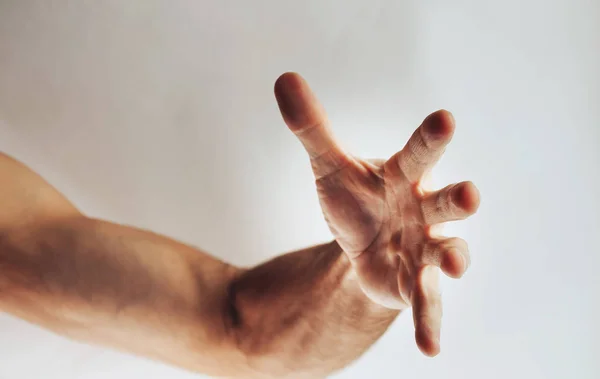 Beyaz Izole Eller Kırpılmış Atış — Stok fotoğraf