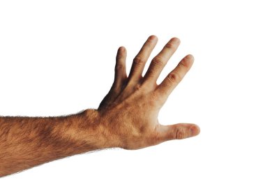 beyaz izole el eller in kırpılmış atış